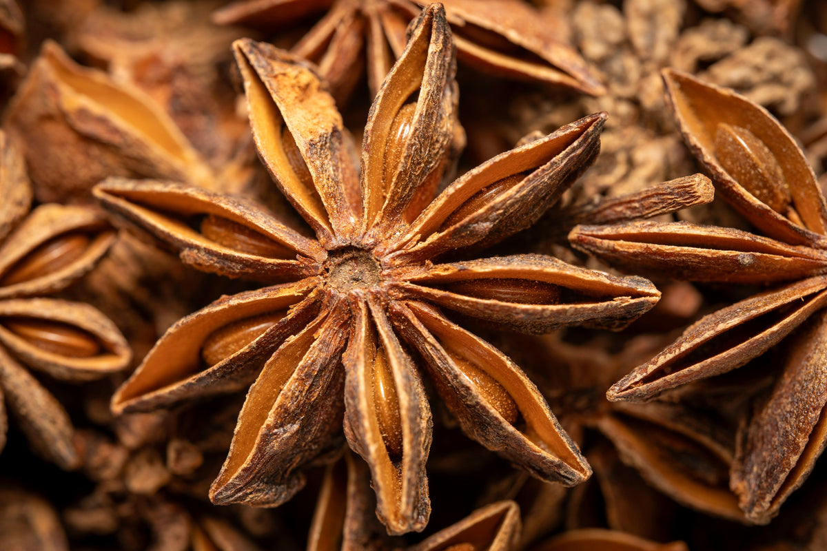 Star anise, the botanical behind rakı and ouzo