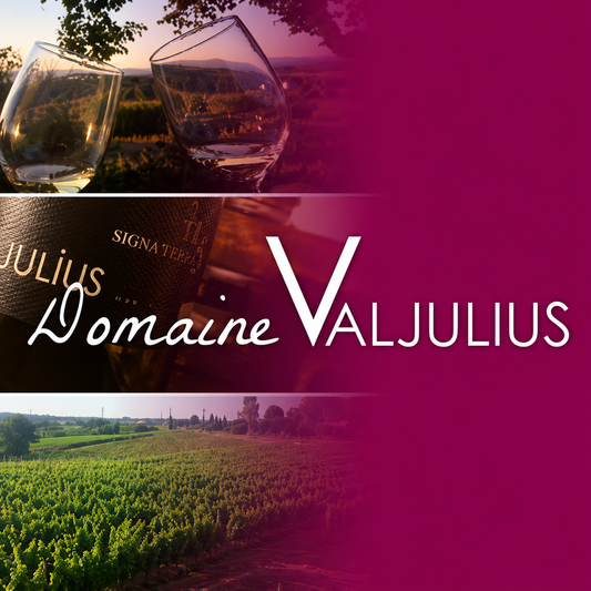 Domain Valjulius