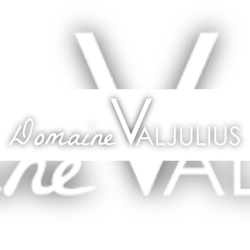 Domain Valjulius